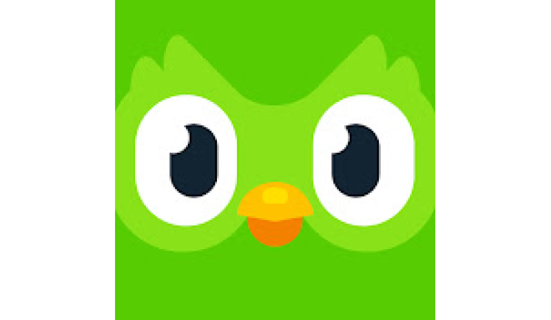 Duolingo 